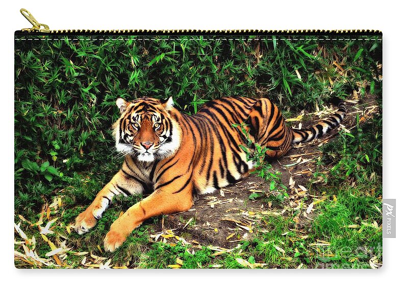 Tiger Zip Pouch featuring the photograph Jungle Love by Lauren Leigh Hunter Fine Art Photography
