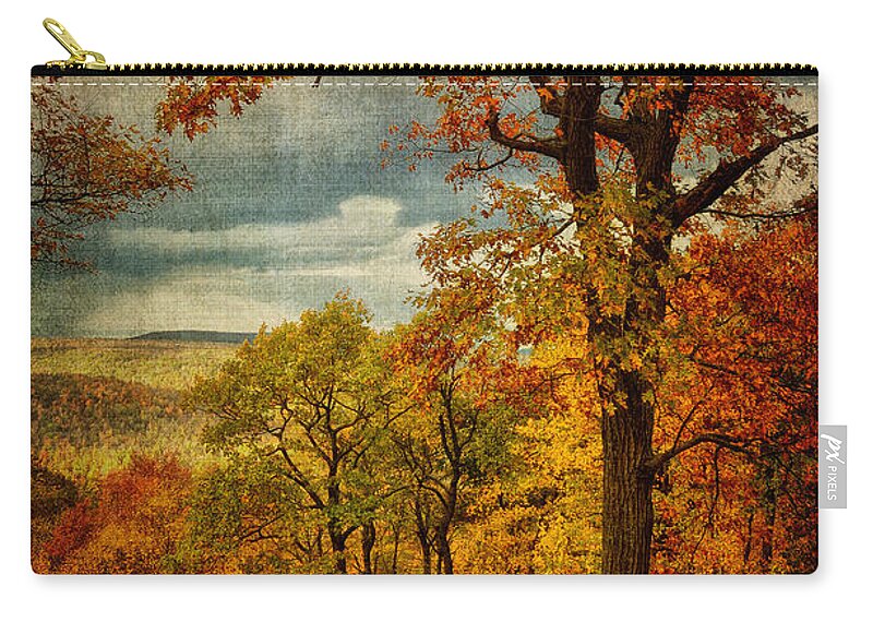Tree Zip Pouch featuring the photograph Just Another Day In Paradise. by Lois Bryan