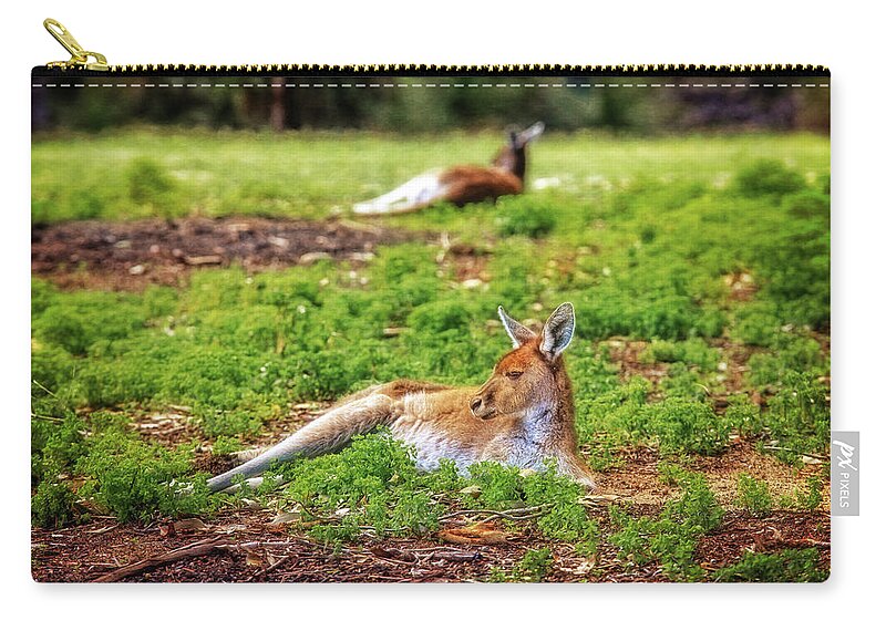 Mad About Wa Zip Pouch featuring the photograph Just Chillin, Yanchep National Park by Dave Catley