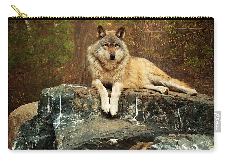 Animal Zip Pouch featuring the photograph Just Chilling by Susan Rissi Tregoning