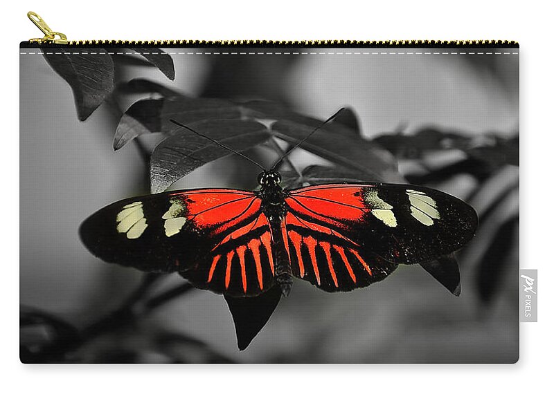 Nature Zip Pouch featuring the photograph Just Hanging Around by Deborah Klubertanz