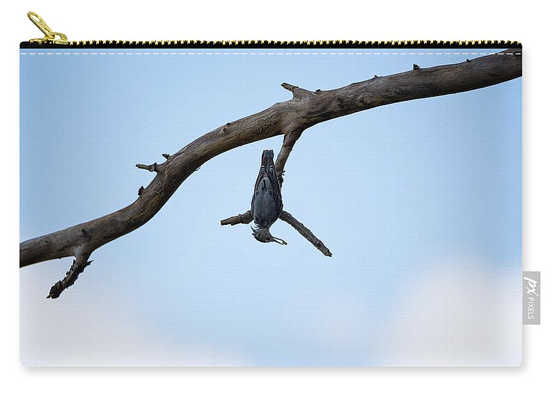 Bird Carry-all Pouch featuring the photograph Just Hanging Around by Holden The Moment