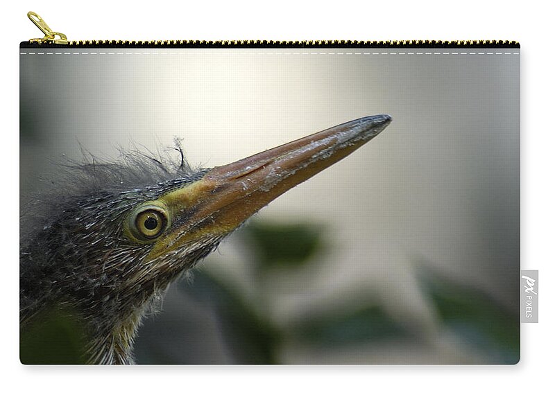 Heron Zip Pouch featuring the photograph Just Love Me by DArcy Evans
