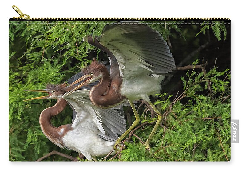 Herons Zip Pouch featuring the digital art Juvenile Tricolored Heron Siblings Painted by DB Hayes