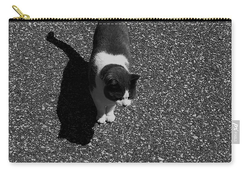  Carry-all Pouch featuring the photograph Keeky by Michelle Hoffmann