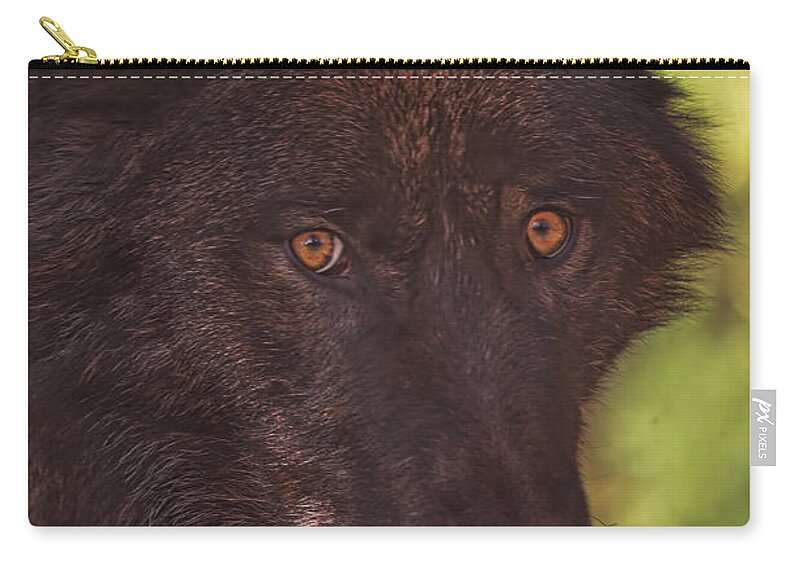 Animal Zip Pouch featuring the photograph Keyni by Brian Cross