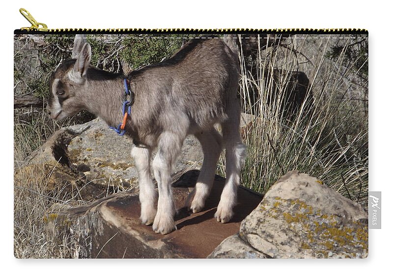 Kid Goat Zip Pouch featuring the digital art Kid Goat by Annie Gibbons