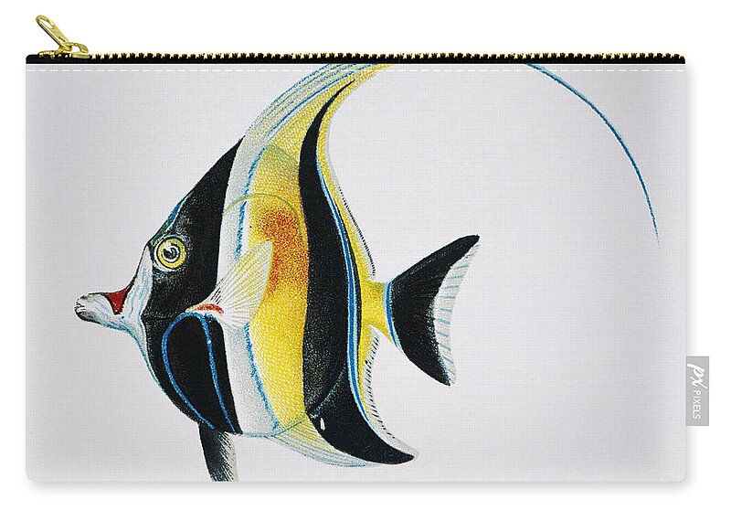 1895 Zip Pouch featuring the painting Kihikihi by Hawaiian Legacy Archive - Printscapes