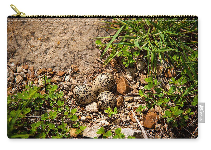 Nature Zip Pouch featuring the photograph Killdeer Nest with Eggs by Jeff Phillippi