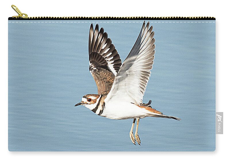 Bird Zip Pouch featuring the photograph Killdeer on the Wing by Dennis Hammer
