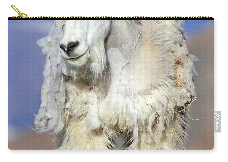 Goat Zip Pouch featuring the photograph King of The Mountain by Scott Mahon