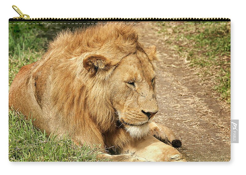Gary Hall Zip Pouch featuring the photograph King of the Serengeti by Gary Hall