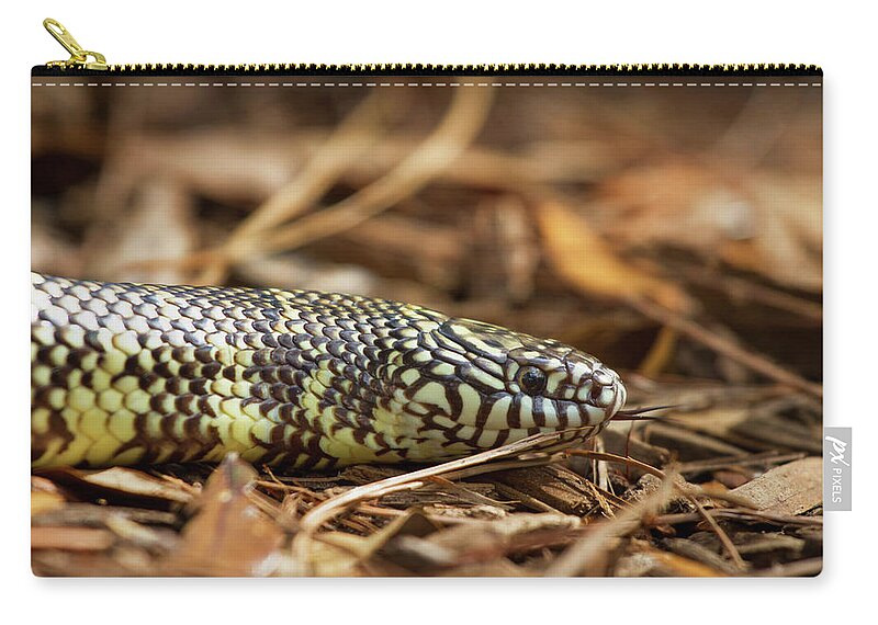 Nature Zip Pouch featuring the photograph King Snake 1 by Arthur Dodd