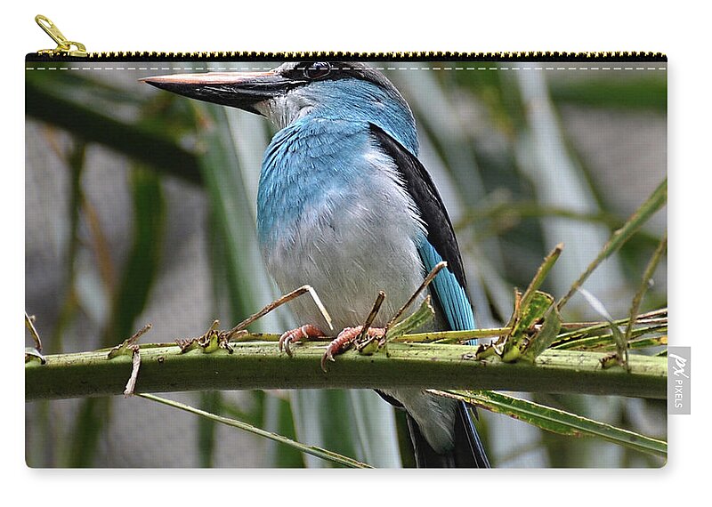 Kingfisher Zip Pouch featuring the photograph Kingfisher bird by Ronda Ryan