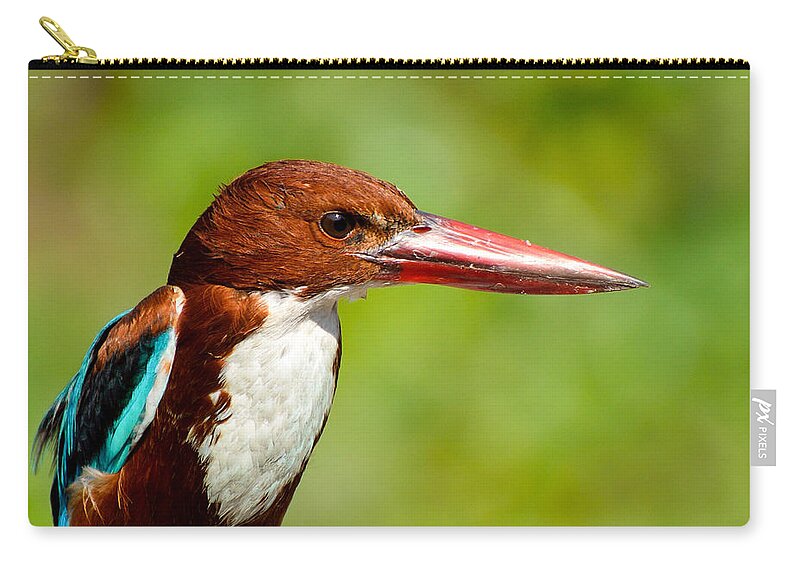 Kingfisher Zip Pouch featuring the photograph Kingfisher_Portrait by Fotosas Photography