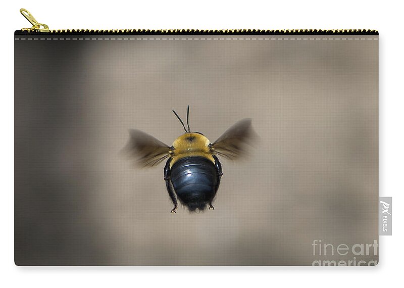 Bee Zip Pouch featuring the photograph Kiss My BeeHind by Andrea Silies