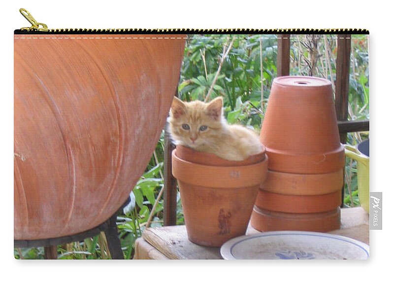 Cat Zip Pouch featuring the photograph Kitten in Pot by Laura Davis