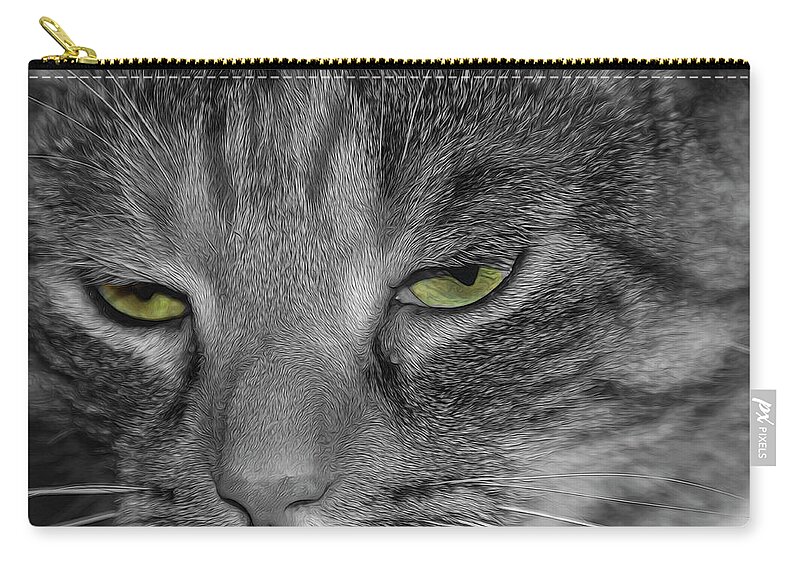 Feline Zip Pouch featuring the photograph Kitty 1 by Cathy Kovarik