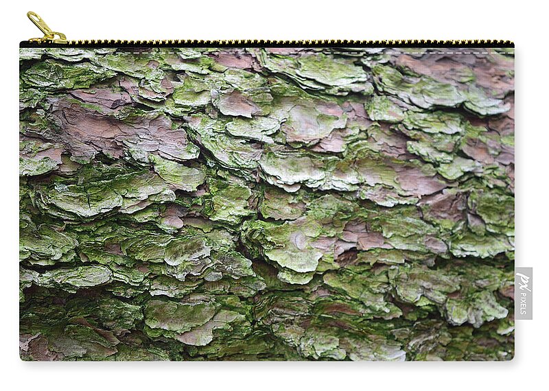 Korean Pine Zip Pouch featuring the photograph Korean Pine No. 5-1 by Sandy Taylor