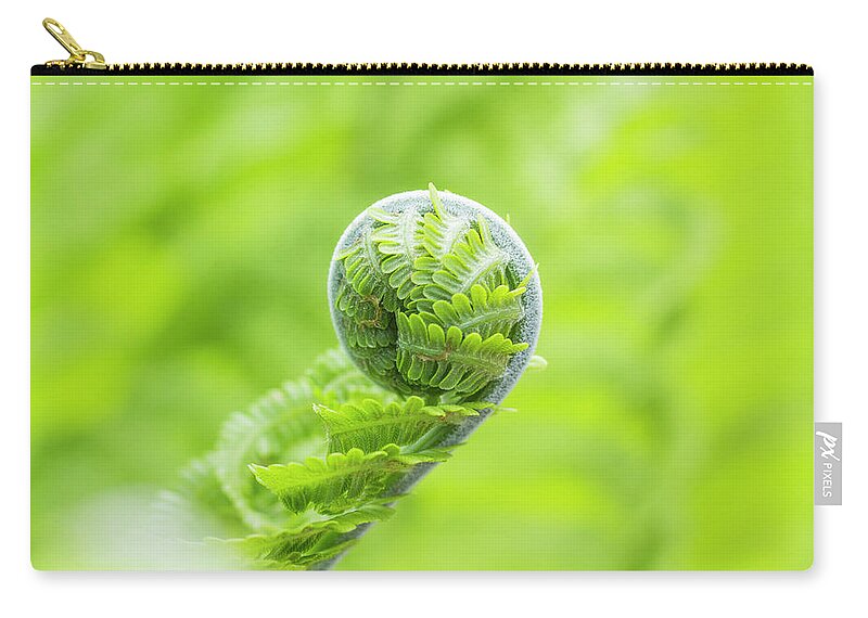 Fern Carry-all Pouch featuring the photograph Koru by Holly Ross