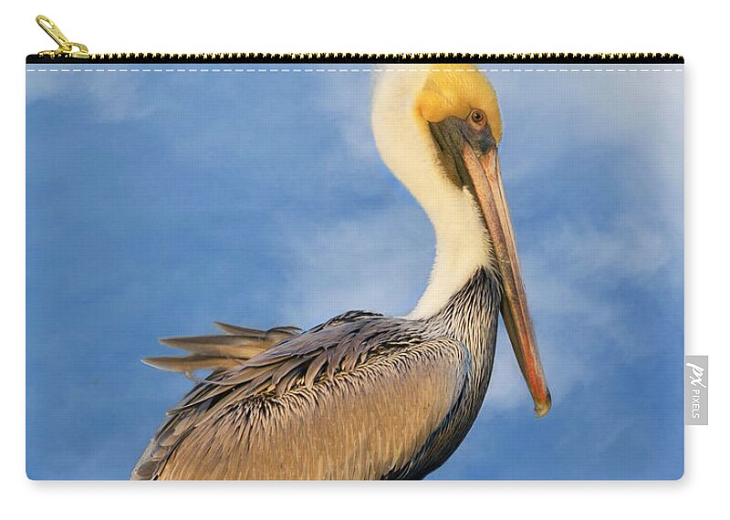 Pelican Zip Pouch featuring the photograph Kremer's Pelican by Don Schiffner