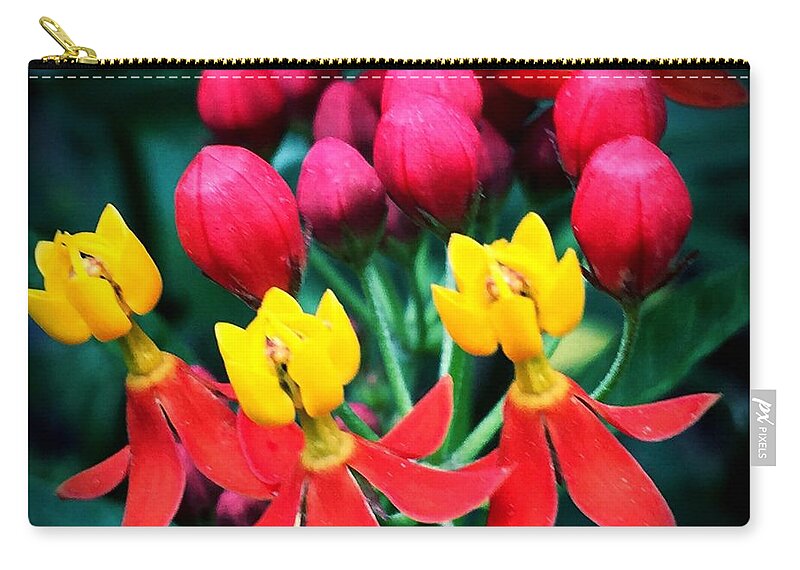 Macro Carry-all Pouch featuring the photograph Ladies in Waiting by Vonda Lawson-Rosa