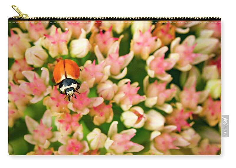 Jean Noren Zip Pouch featuring the photograph Lady in the Garden by Jean Noren