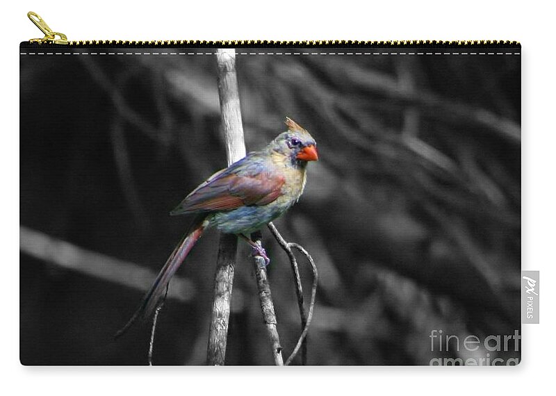 Bird Zip Pouch featuring the photograph Lady In Waiting by Barbara S Nickerson