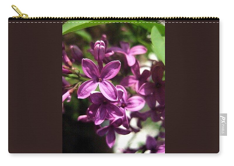 Lilacs Zip Pouch featuring the photograph Lady Lilacs by Annie Walczyk