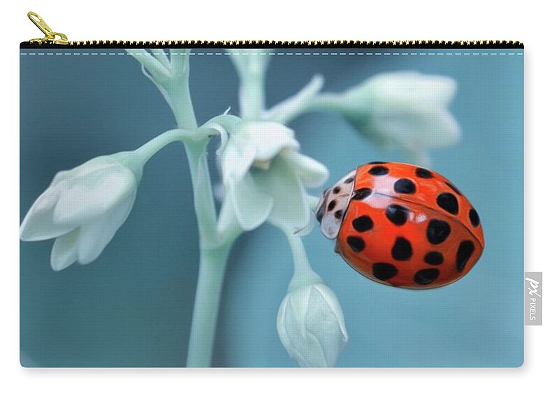 Nature Zip Pouch featuring the photograph Ladybug by Mark Fuller