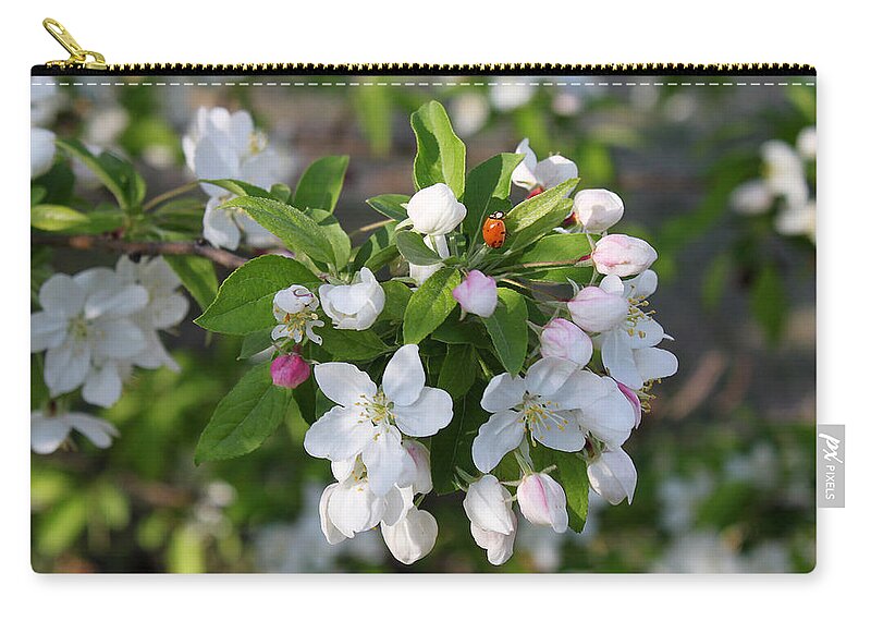 Susan Vineyard Zip Pouch featuring the photograph Ladybug on Cherry Blossoms by Susan Vineyard