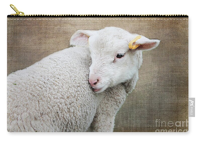 Lamb Zip Pouch featuring the photograph Lamb Lament 2 by Nina Silver