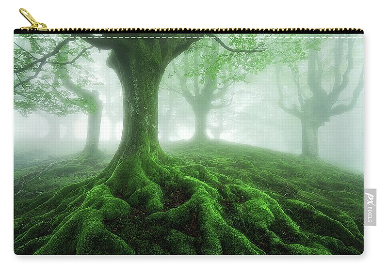 Roots Zip Pouch featuring the photograph Land of roots by Mikel Martinez de Osaba