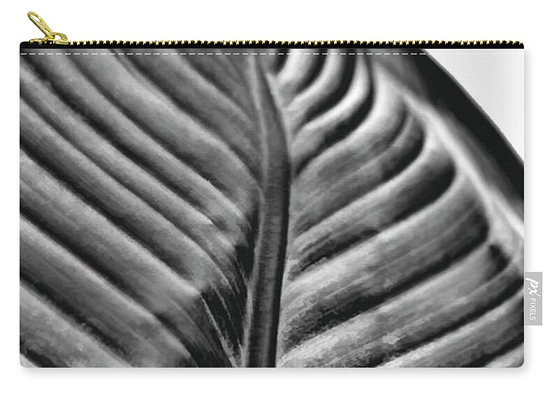 Leaf Zip Pouch featuring the photograph Large Leaf by John Hansen