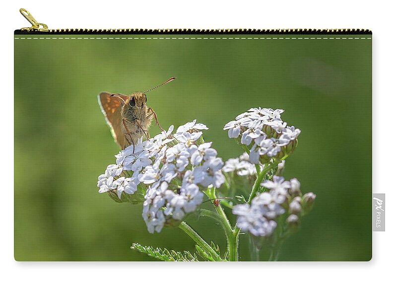 Background Zip Pouch featuring the photograph Large Skipper on a Flower by Tim Abeln