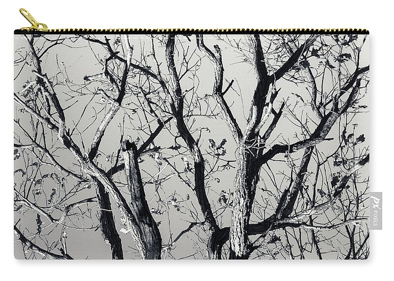 5dii Zip Pouch featuring the photograph Last Light Oak by Mark Mille