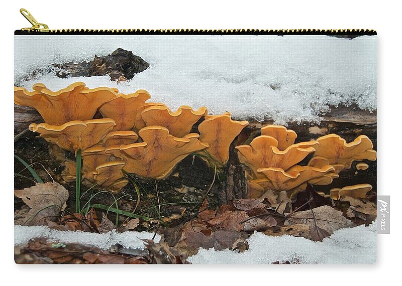 Mushroom Zip Pouch featuring the photograph Last Mushrooms of the Seasons by Michael Peychich