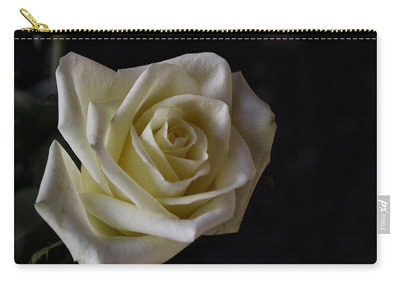 Rose Zip Pouch featuring the photograph Last of the 1st Rose of Spring by Lin Grosvenor