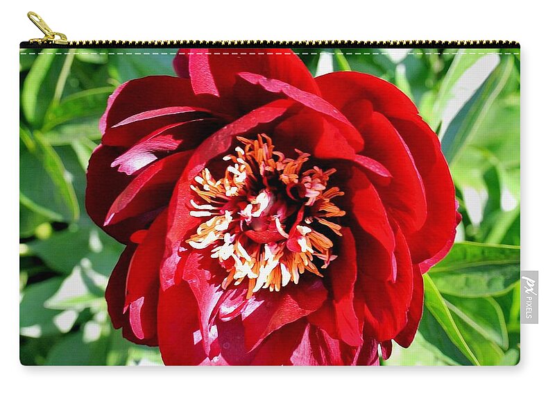 Photo Zip Pouch featuring the photograph Last of the Peonies by Marsha Heiken