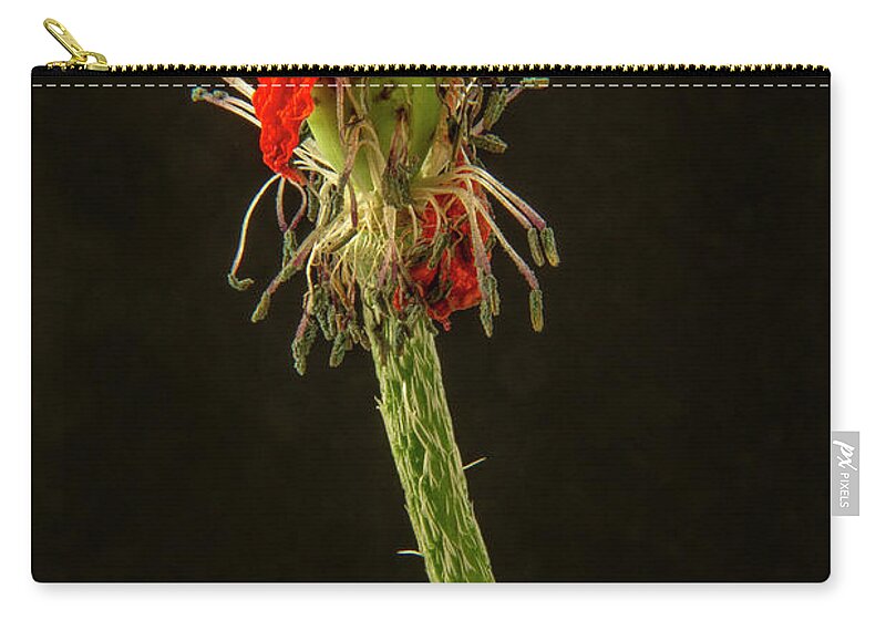 Flowers Zip Pouch featuring the photograph Last of the Poppies by Garry McMichael