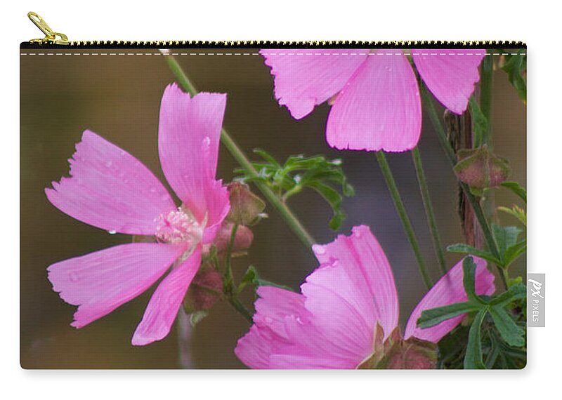 Photography Zip Pouch featuring the photograph Late Bloomer by Sean Griffin