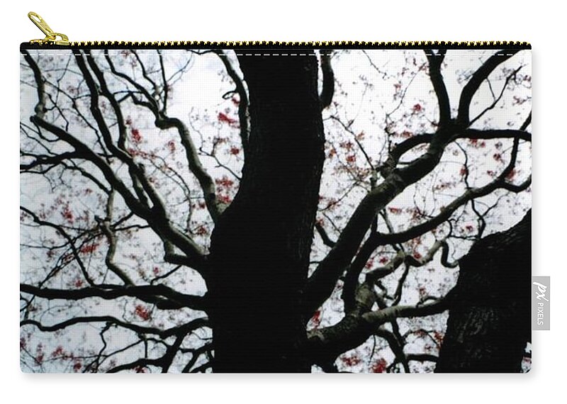 Tree Zip Pouch featuring the photograph Late Fall by Robert Nickologianis