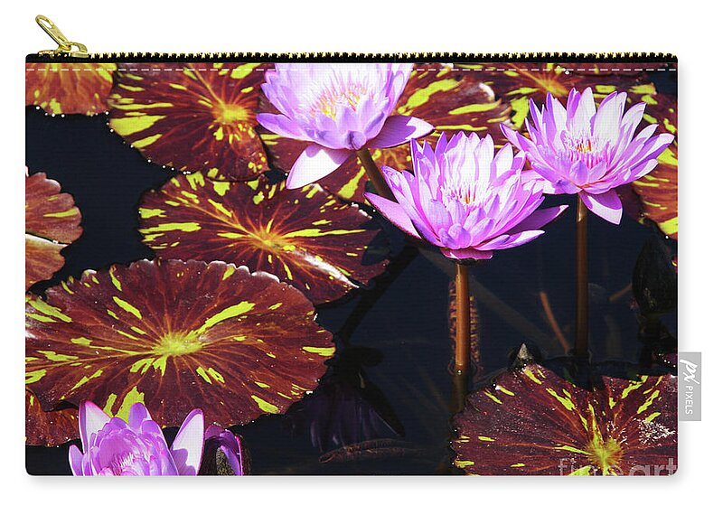 Water Lily Zip Pouch featuring the photograph Lavender and Gold by Rick Locke - Out of the Corner of My Eye