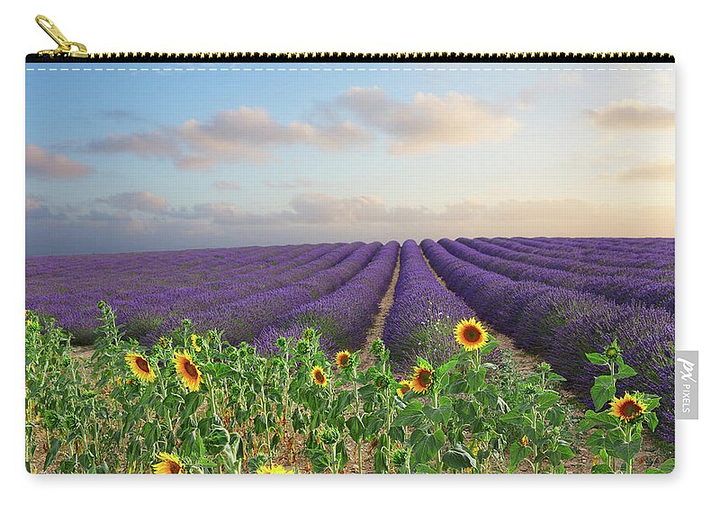 Lavender Zip Pouch featuring the photograph Lavender and Sunflower Flowers Field by Anastasy Yarmolovich