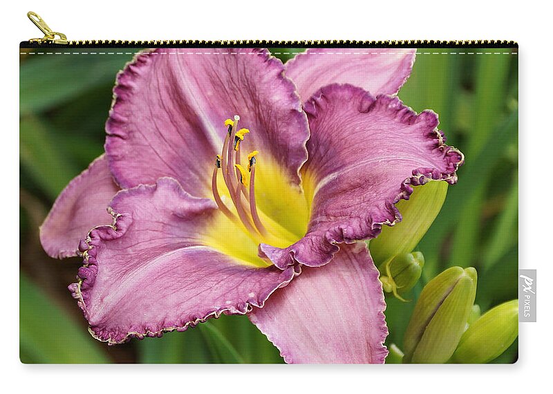 Daylilies Zip Pouch featuring the photograph Lavender Daylily by Sandy Keeton