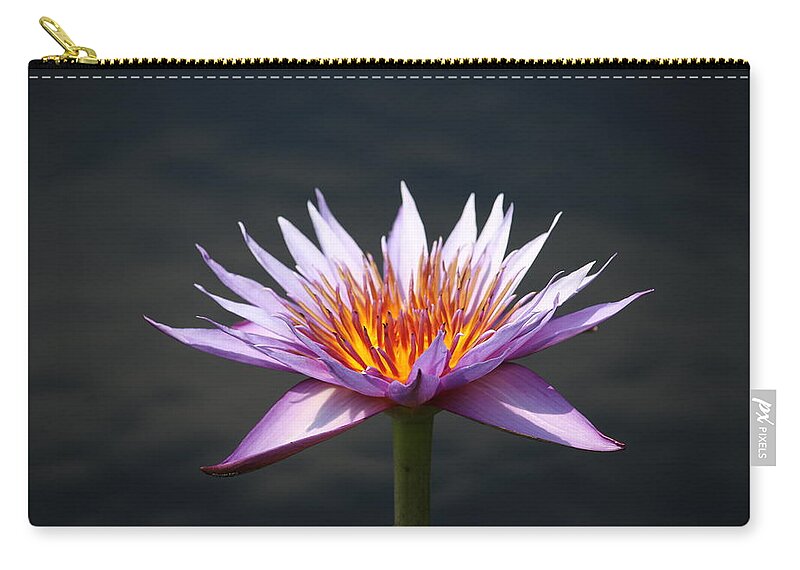  Zip Pouch featuring the photograph Lavender Fire 2 by Ron Monsour