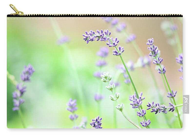 Lavender Zip Pouch featuring the photograph Lavender Garden by Trina Ansel