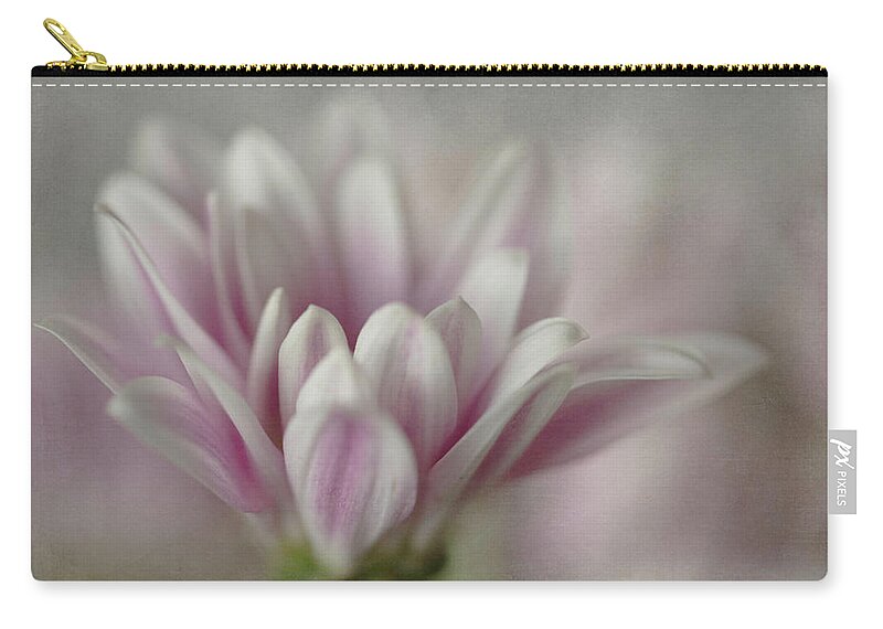 Flower Zip Pouch featuring the photograph Lavender Mini Mum by Teresa Wilson
