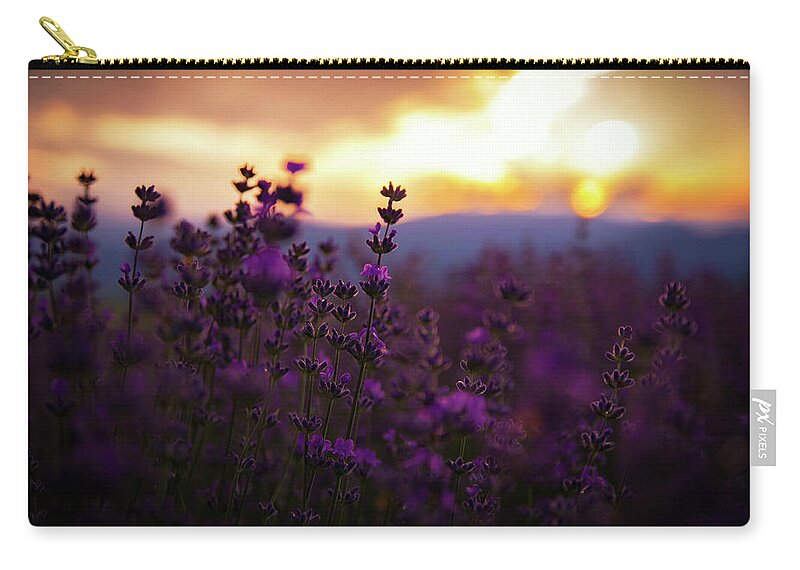Field Zip Pouch featuring the photograph Lavender by Plamen Petkov