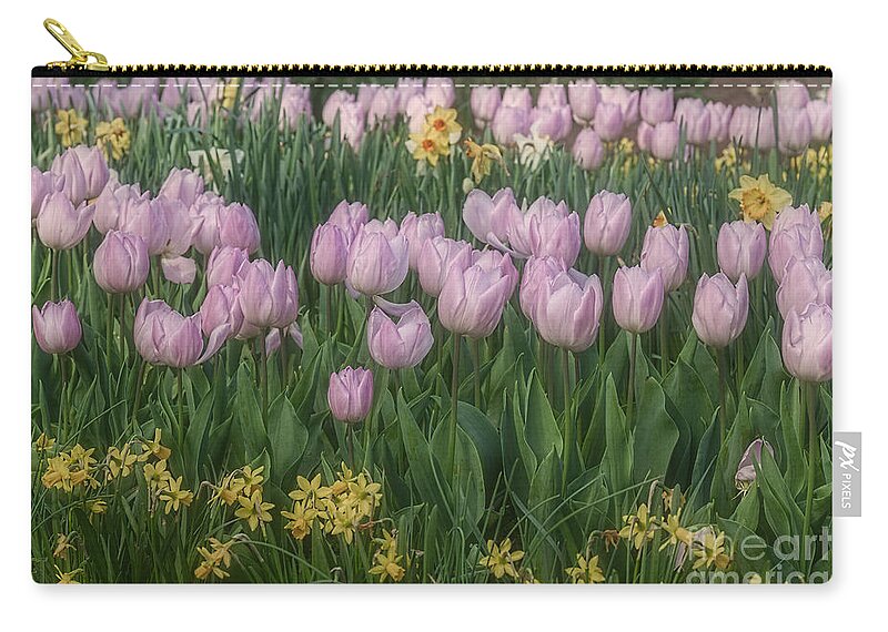 Lavender Zip Pouch featuring the photograph Lavender Tulips by Elaine Teague